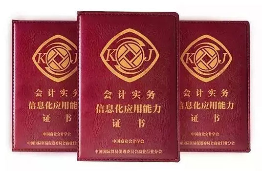 信息化证-金牌实操就业课